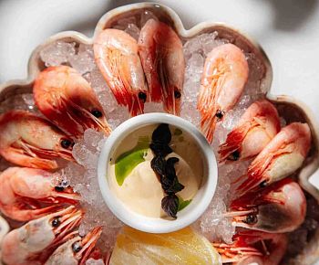 Пуси Лебеди (Марата)