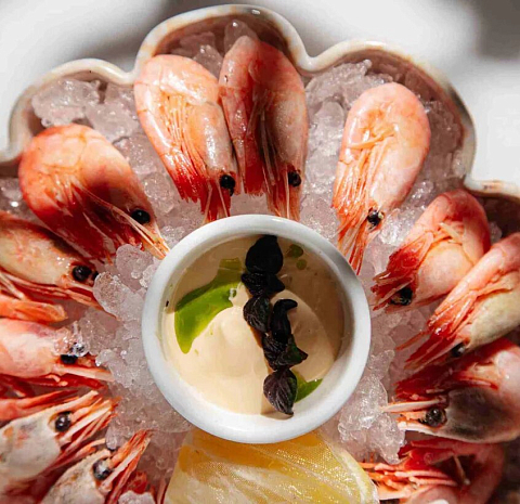 Пуси Лебеди (Марата)