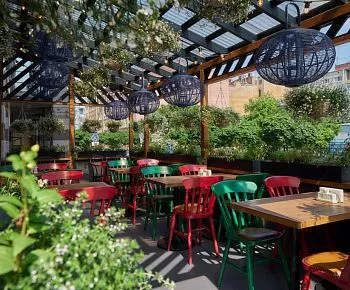 Mamalыga Bar