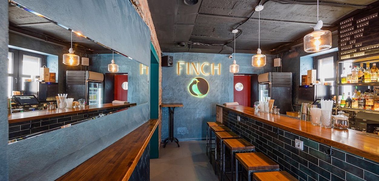 Finch - фотография № 11