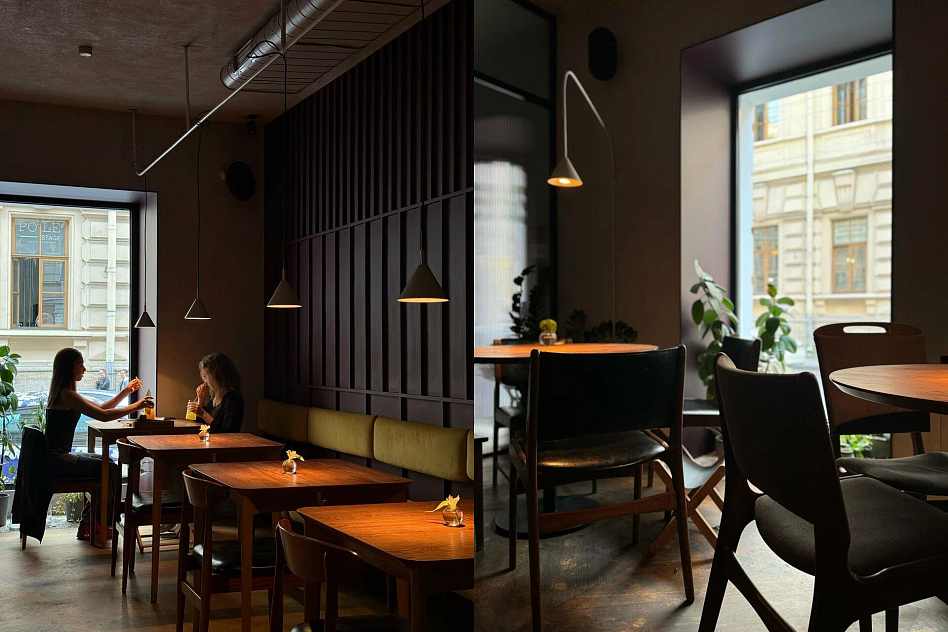 Gills - фотография № 5