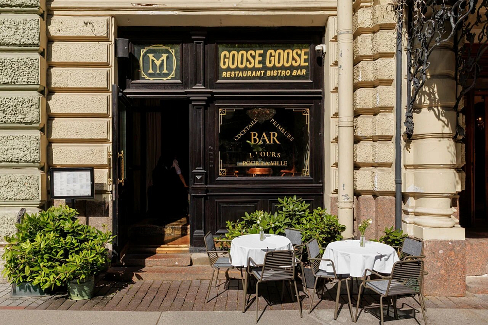 Медведь - фотография № 1