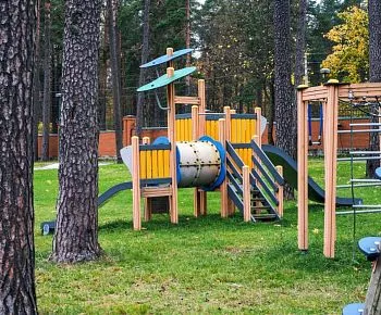 Птички и ягоды