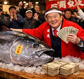 Самая дорогая рыба в мире продана за чуть больше чем 134 000 руб.