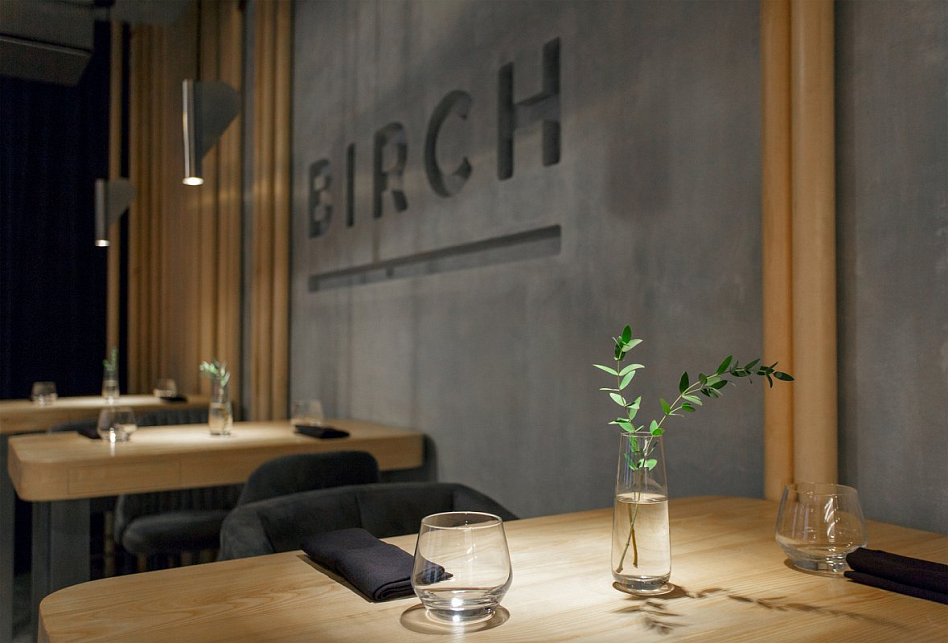 Birch - фотография № 2