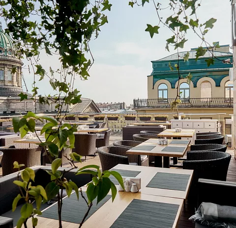 Терраса (Ginza Project)