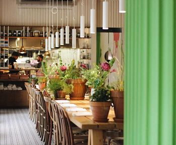 Анималс / Animals