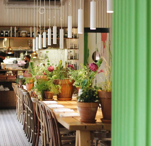 Анималс / Animals