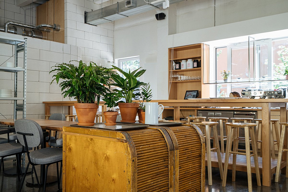 Футура - фотография № 1