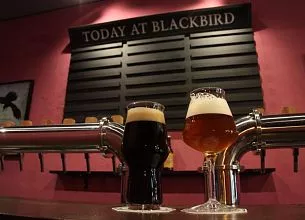 Blackbird / Блэкберд фото 8