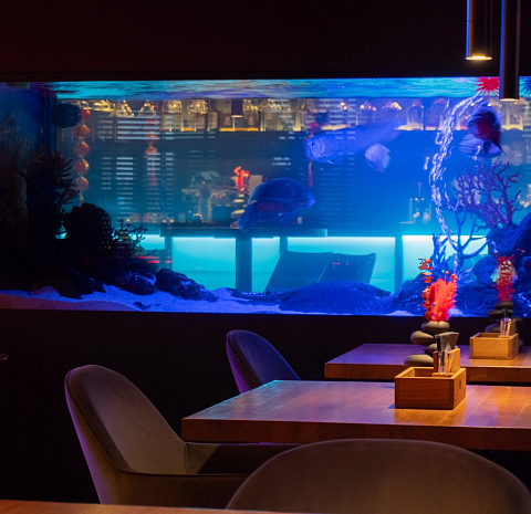 Меконг / Mekong