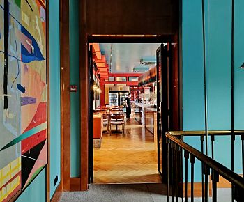 Пуси Лебеди (Белинского)