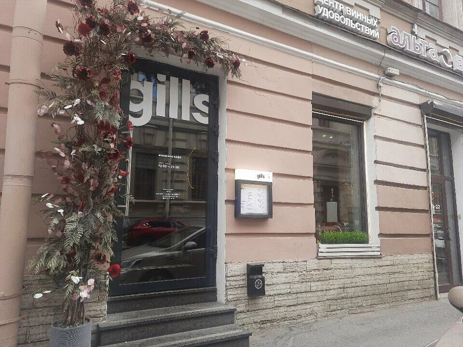 Gills - фотография № 6