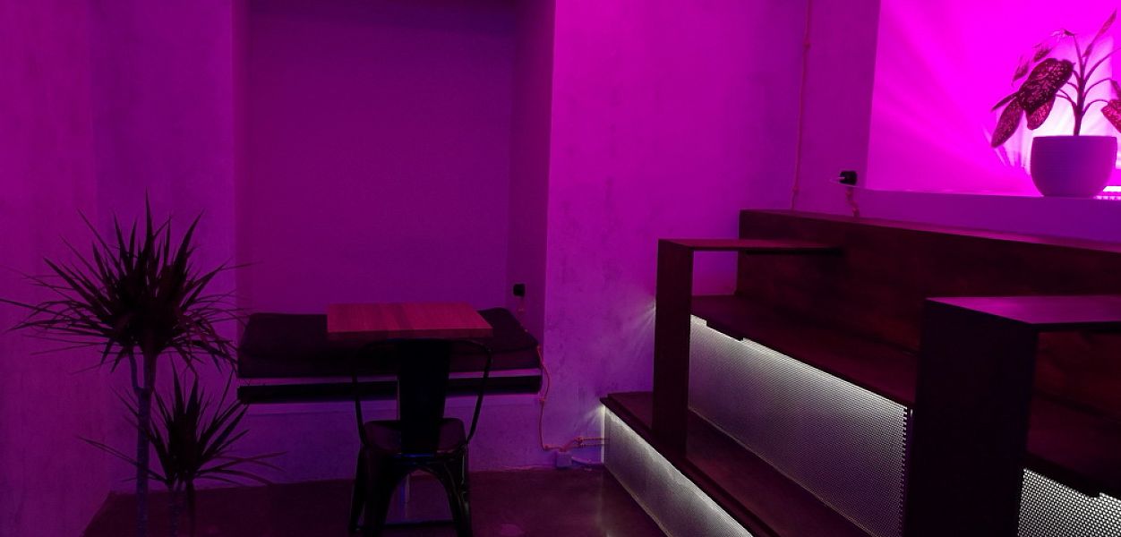 Luminous Bar / Люминаус бар - фотография № 5