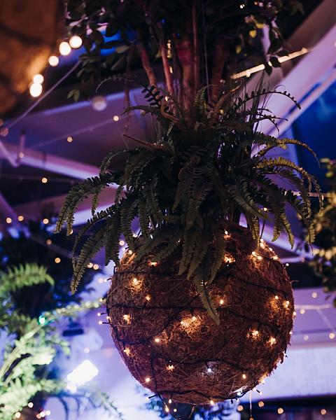 Новогодняя ночь